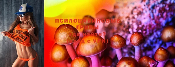 каннабис Алзамай