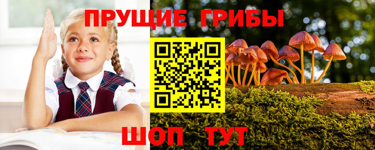 Лысьва  Галлюциногенные грибы Magic Shrooms  Галлюциногенные грибы Cubensis  как найти   Вход с VPN 